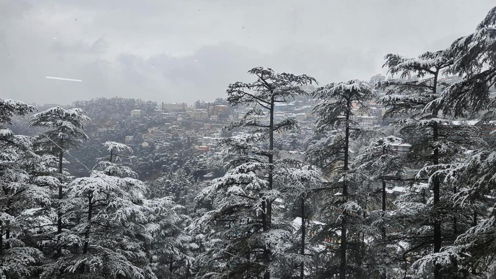 Mountain Zest- Simla Royale Near Mall Road Free Pickup From Railway Station Simla Eksteriør bilde